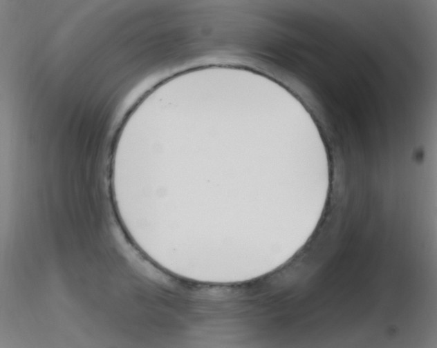 X0000116790950200912181051
