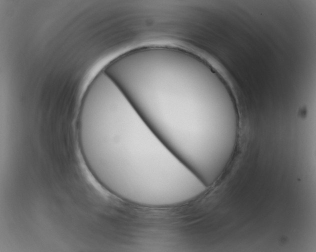 X0000116790951200912181051