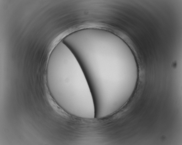 X0000116790954200912181051