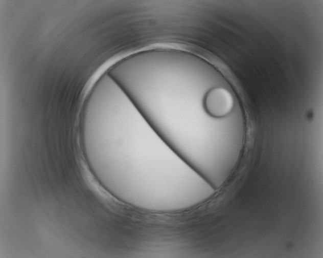 X0000116790955200912181051