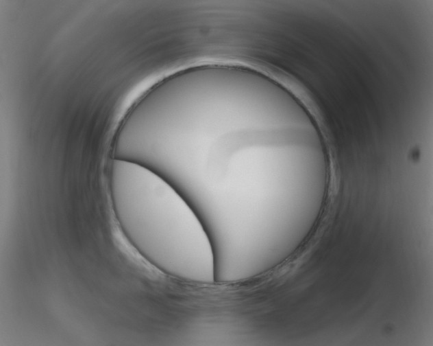 X0000116790958200912181051