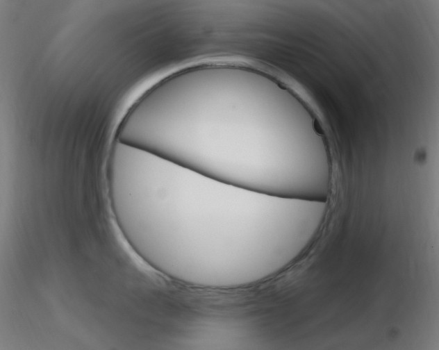 X0000116790959200912181051