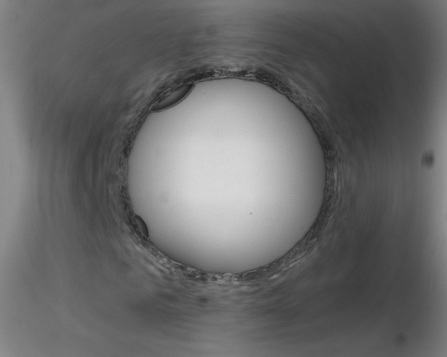 X0000116790961200912181050