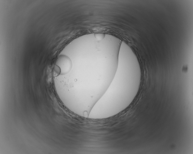 X0000116790962200912181050