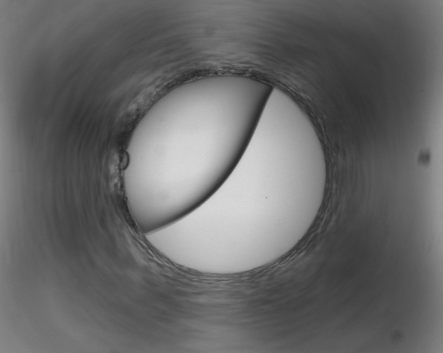 X0000116790963200912181050