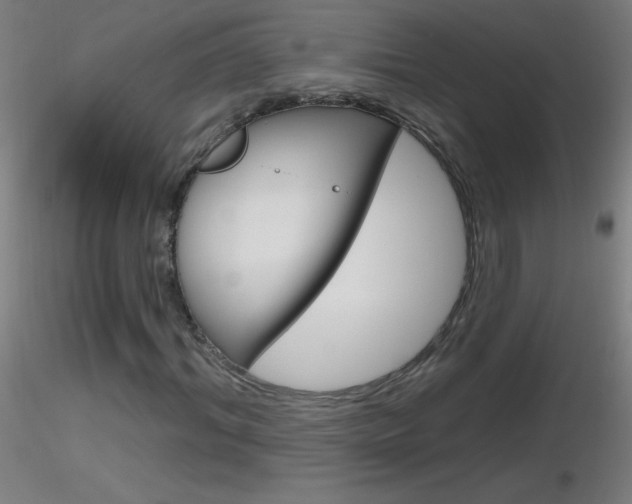 X0000116790964200912181050
