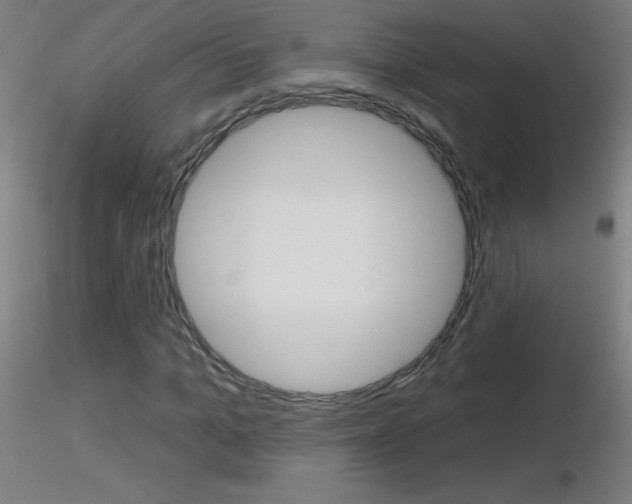 X0000116790965200912181050