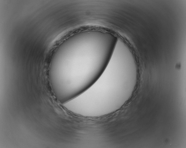 X0000116790968200912181050