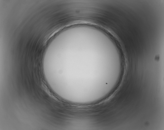 X0000116790969200912181050