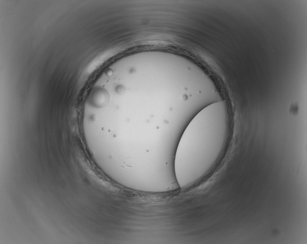 X0000116790970200912181050