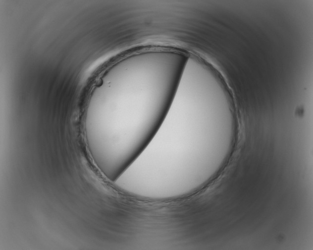 X0000116790971200912181050