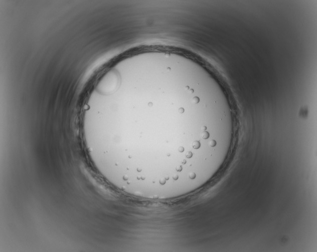 X0000116790974200912181050