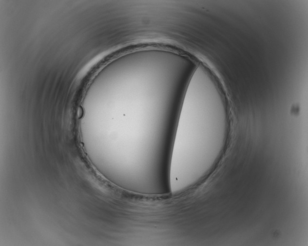 X0000116790975200912181050