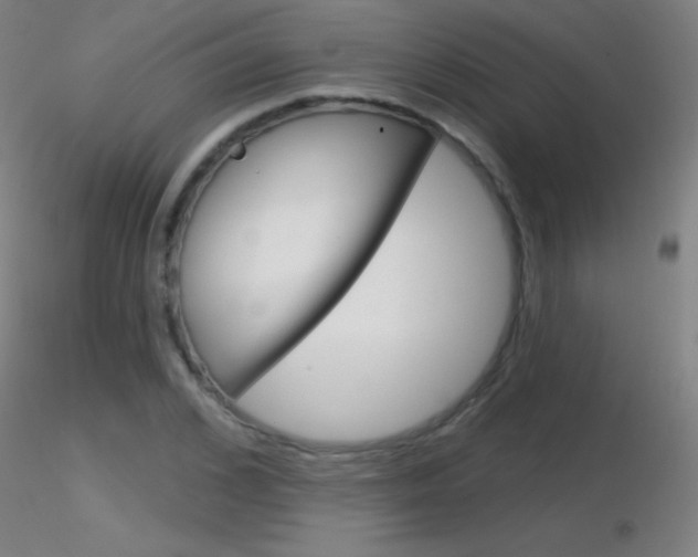 X0000116790976200912181050