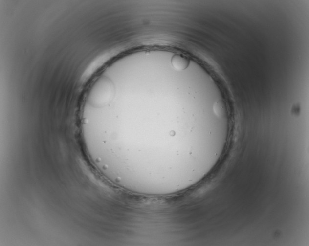 X0000116790978200912181050