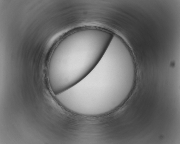 X0000116790979200912181050