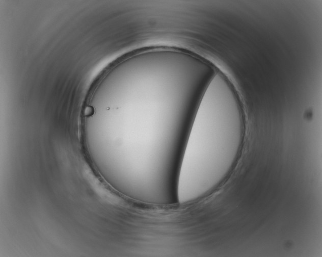 X0000116790980200912181050