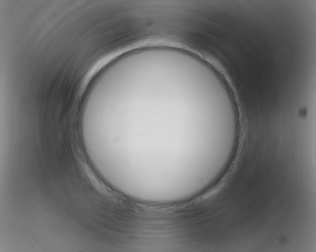 X0000116790981200912181050