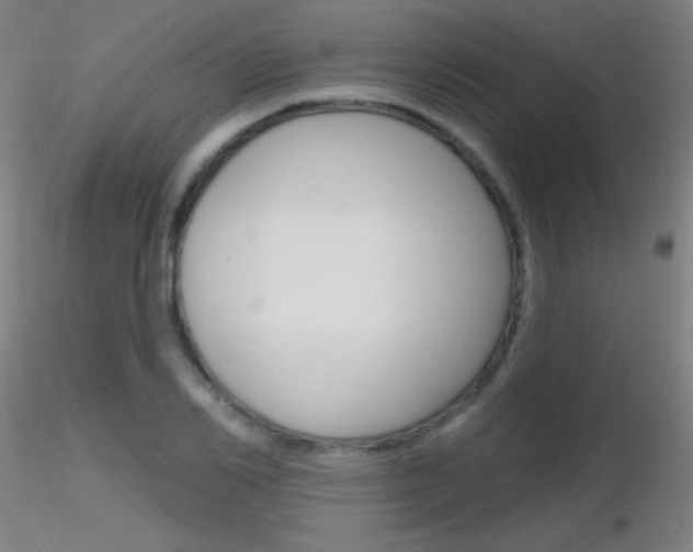 X0000116790982200912181050