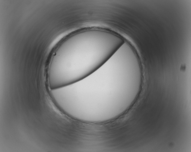 X0000116790983200912181050