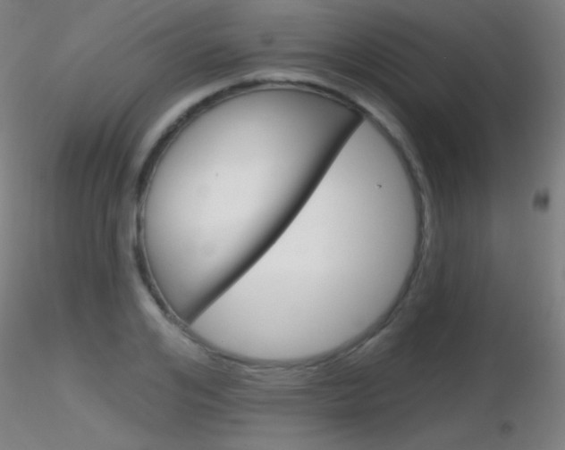 X0000116790984200912181050