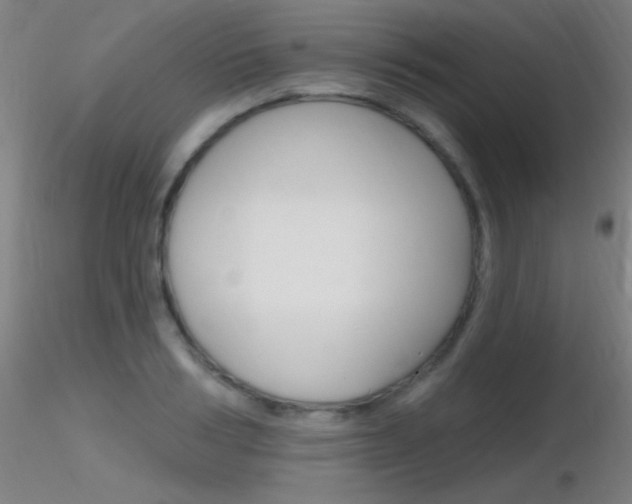 X0000116790986200912181050