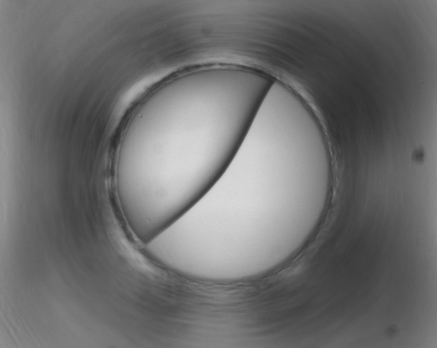 X0000116790987200912181050