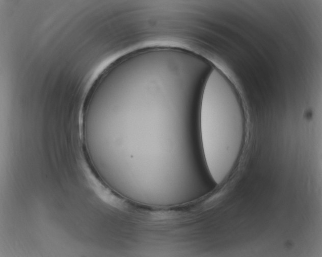 X0000116790988200912181050