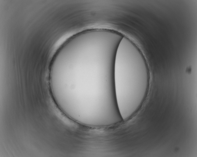 X0000116790990200912181050