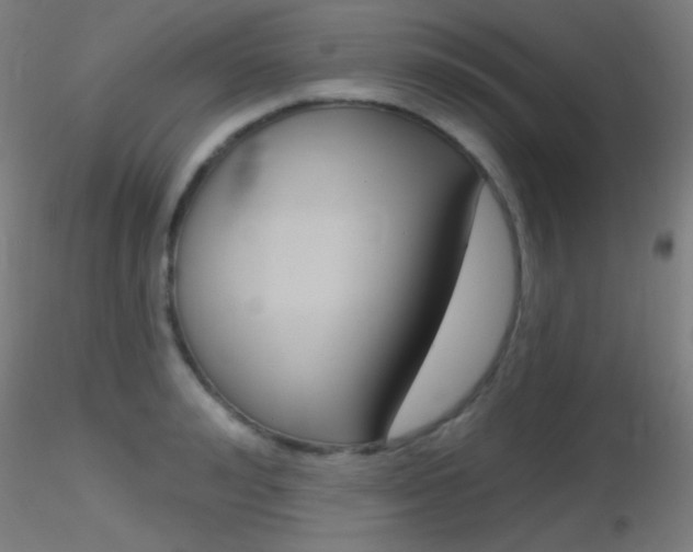 X0000116790992200912181050