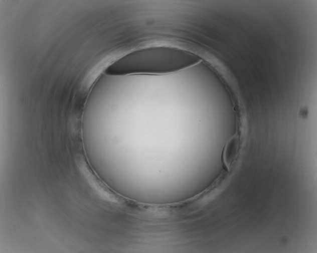 X0000116790993200912181050