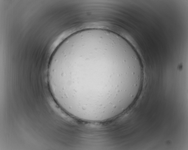 X0000116790994200912181050