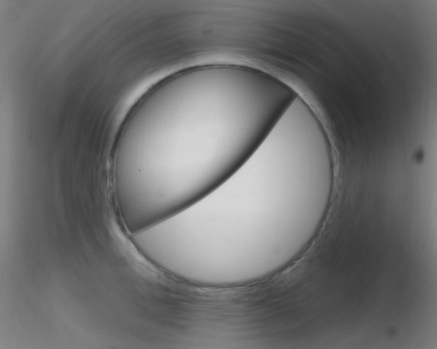 X0000116790996200912181050