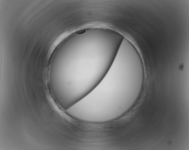 X0000116790997200912181050