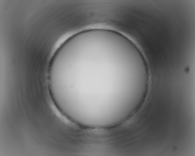 X0000116790998200912181050