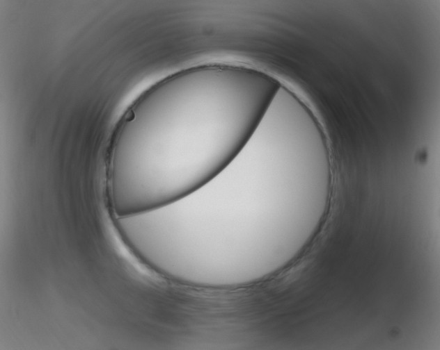 X0000116790999200912181050