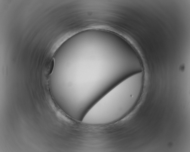 X0000116791001200912181050