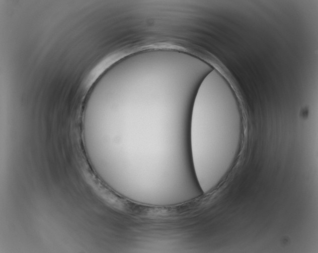 X0000116791002200912181050