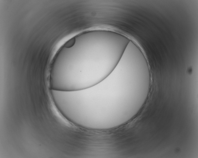 X0000116791003200912181050