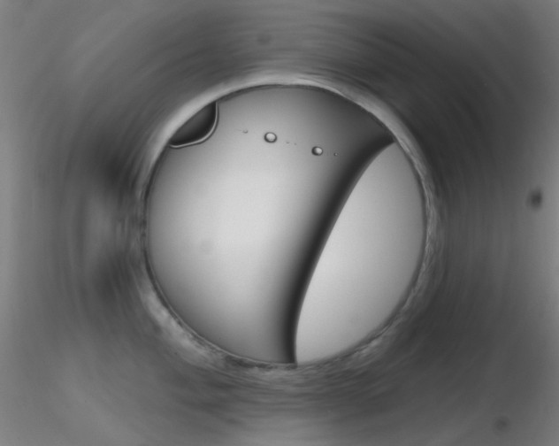 X0000116791004200912181050