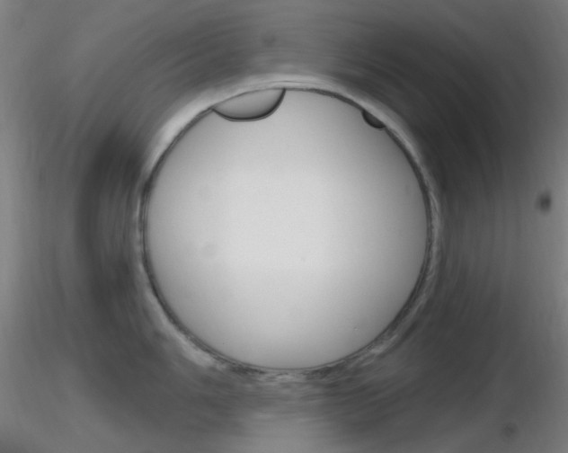 X0000116791006200912181050