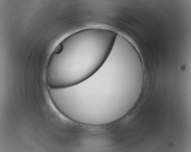 X0000116791007200912181050