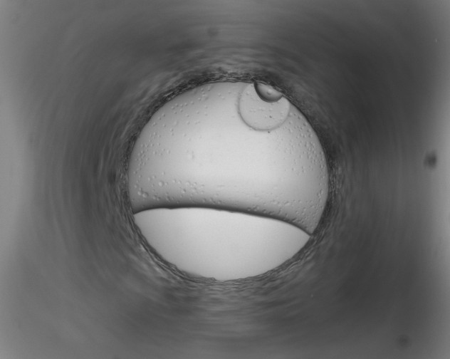 X0000116791009200912181048