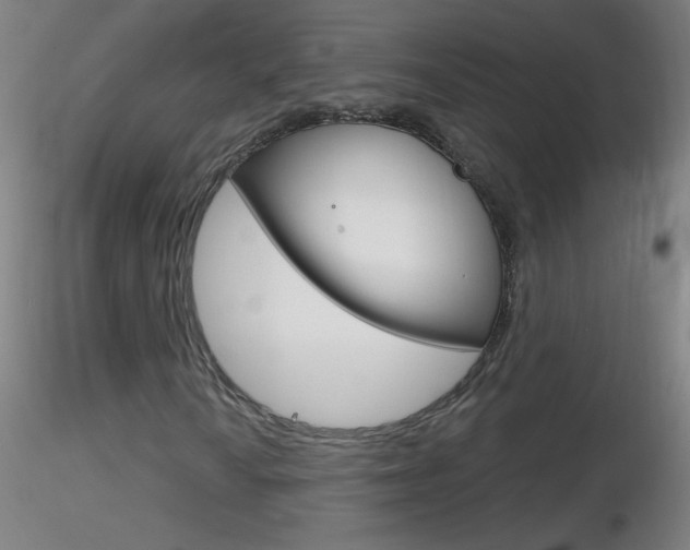 X0000116791010200912181049