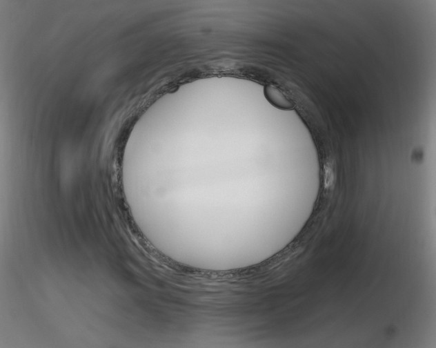 X0000116791011200912181049