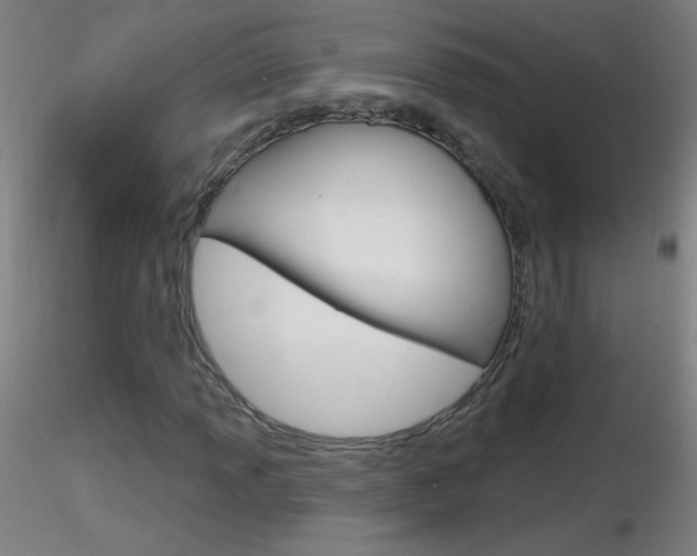 X0000116791013200912181049