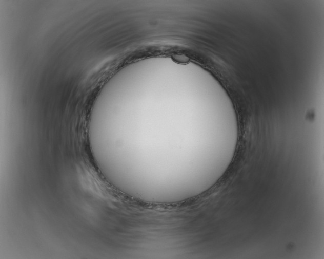 X0000116791014200912181049