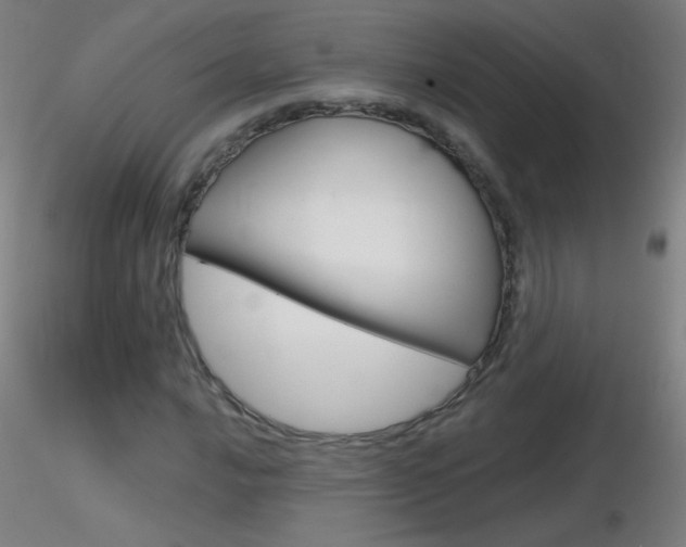 X0000116791016200912181049