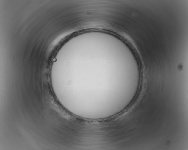 X0000116791019200912181049