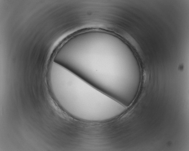 X0000116791020200912181049